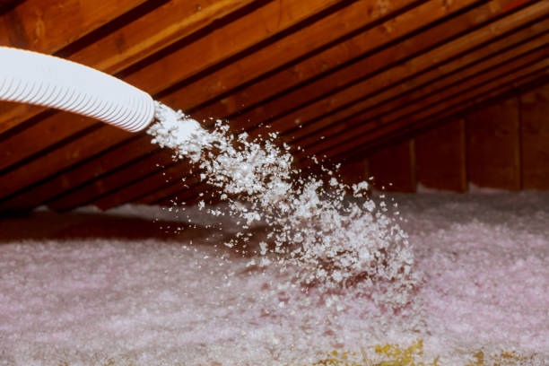 Best Insulation Installation Services in Hurstbourne, KY